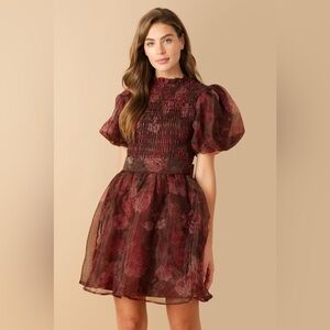 FLITTERING DREAMS WOVEN ORGANZA MINI DRESS (NWOT)